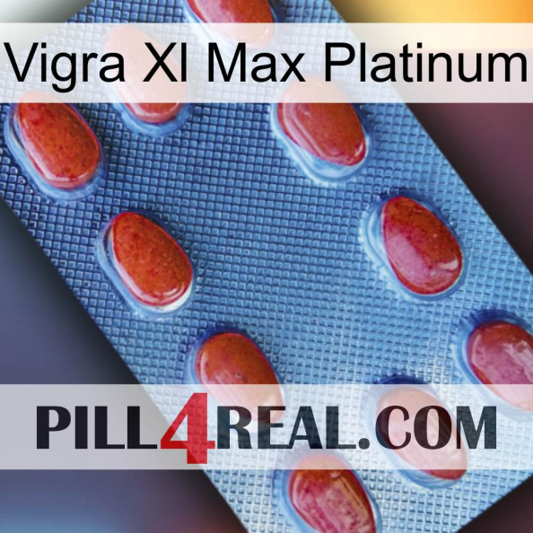 Vigra Xl Max Platinum 06.jpg